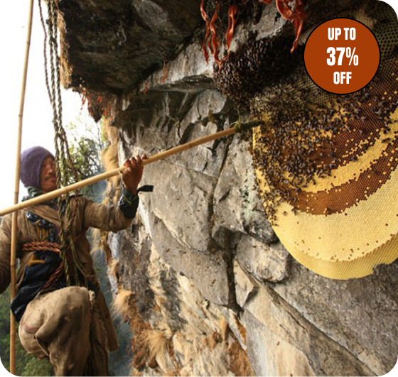 Honey hunters