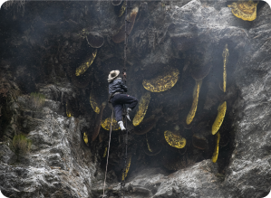 Smoking the Hives